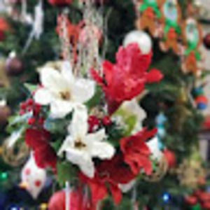 Meet your Posher, Dr.sally